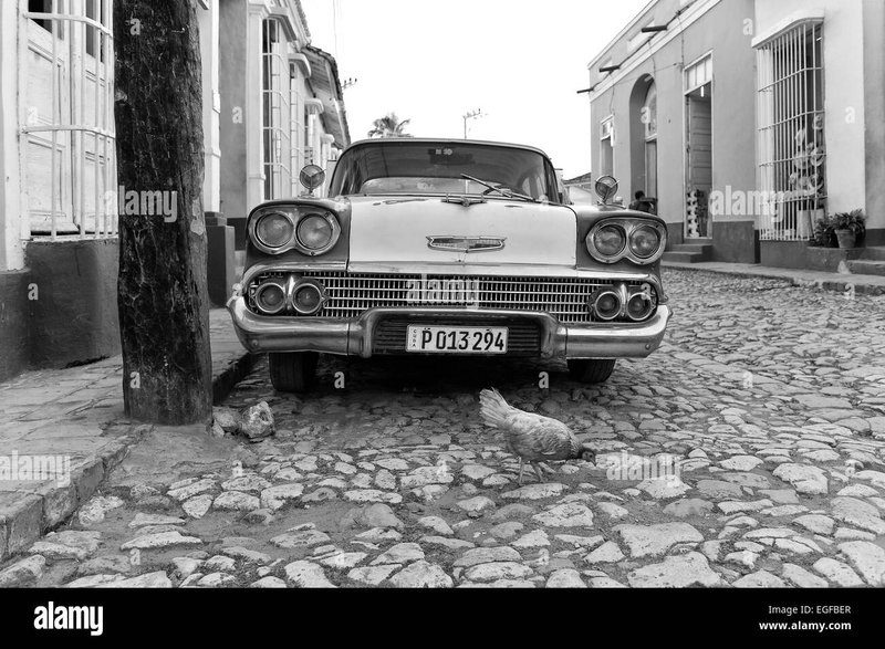 Learn about chicken road